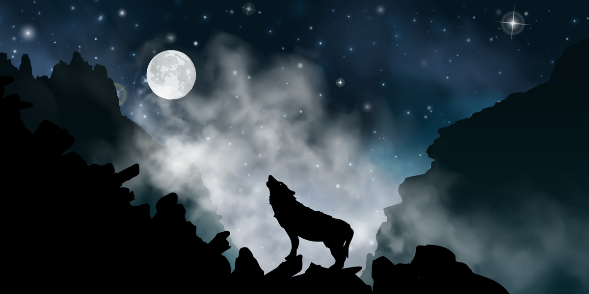 A Guide to Werewolf Books That'll Leave You Howling for More